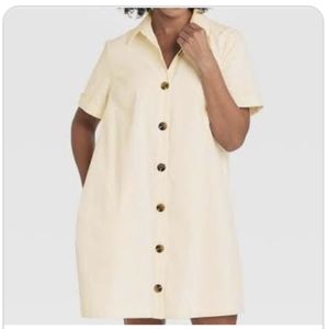 Short Sleeve button up trapeze dress